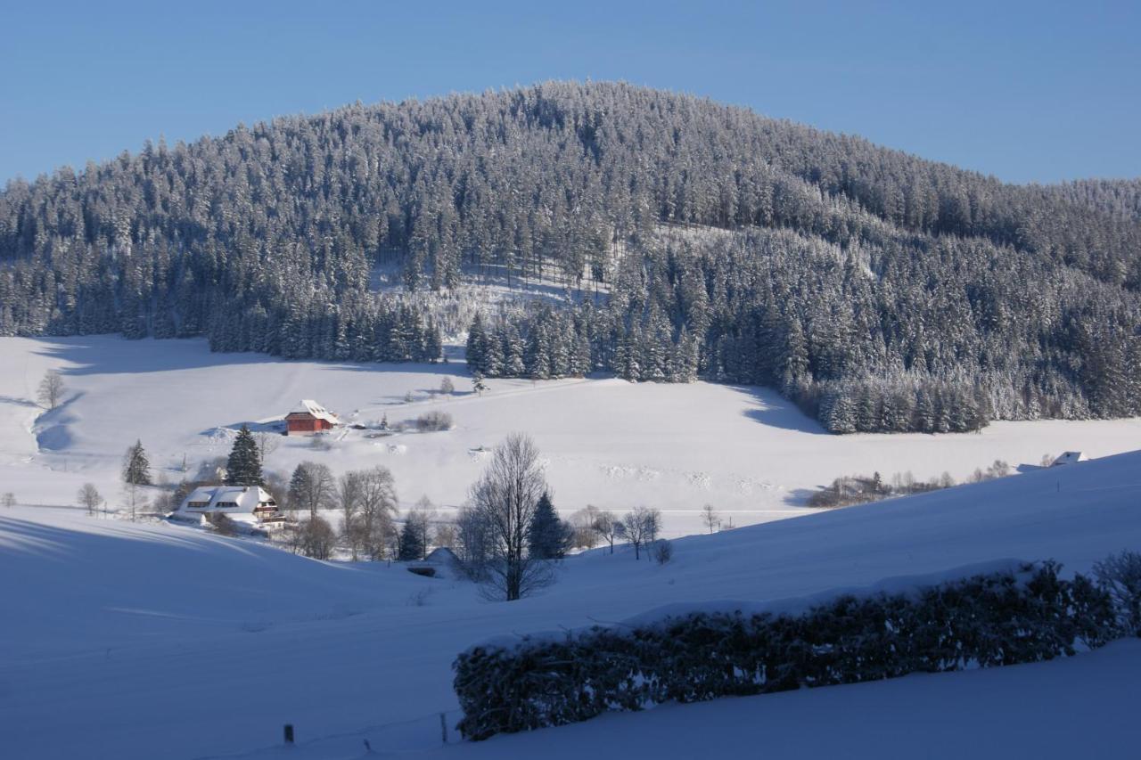Zur Traube Schwarzwaldhotel & Restaurant Am Titisee 상트마르겐 외부 사진