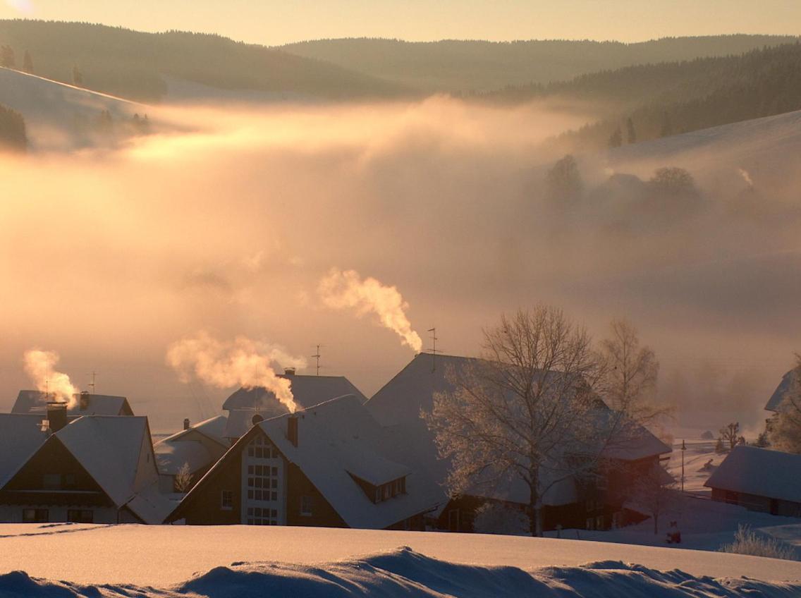 Zur Traube Schwarzwaldhotel & Restaurant Am Titisee 상트마르겐 외부 사진