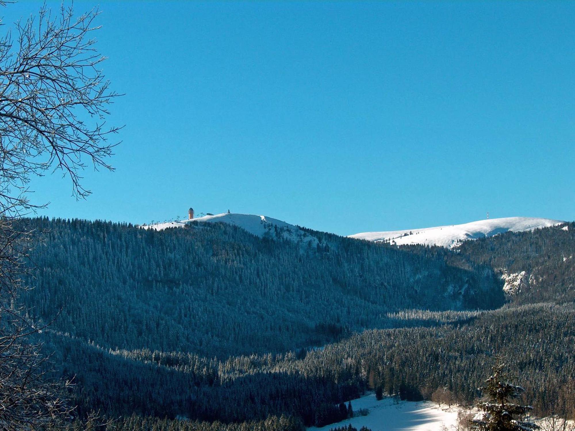 Zur Traube Schwarzwaldhotel & Restaurant Am Titisee 상트마르겐 외부 사진
